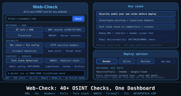 Web-Check: 40+ Website Checks in One OSINT Dashboard
